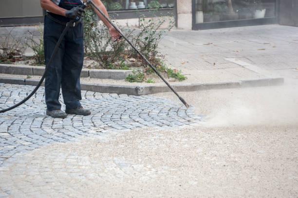 Best Pre-Holiday Cleaning  in Leisure Village, NJ